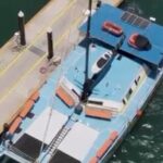 3hours Snorkel Catamaran in Los Cabos - Who Is This Tour Best For?