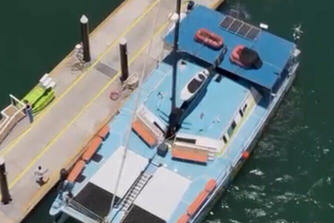 3hours Snorkel Catamaran in Los Cabos - Who Is This Tour Best For?