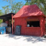 4 Casa Tortugas Cenotes Tour from Playa del Carmen - Final Thoughts: Who Should Consider This Tour?