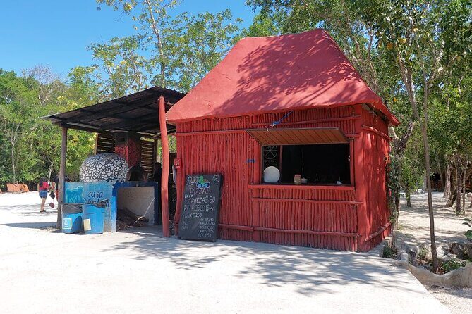 4 Casa Tortugas Cenotes Tour from Playa del Carmen - Final Thoughts: Who Should Consider This Tour?