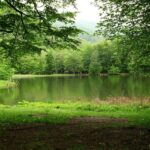 4-Day Cultural & Nature Escape with Wine Tasting - FAQs