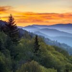4-Day Tennessee Smoky Mountain Tour from NYC - Practical Details and What You’ll Love