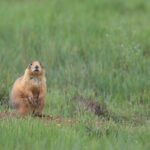 4-Hour, 5-seat ATV Rental next to Bryce National Park - What to Expect During Your Adventure