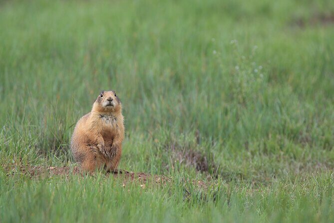 4-Hour, 5-seat ATV Rental next to Bryce National Park - What to Expect During Your Adventure