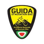 4-hour E-bike Tour of the Piccolo Mondo Antico in Lake Como - Who Will Love This Tour?