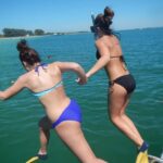 4 Hour Egmont Key Island Tour With Dolphins & Snorkeling - The Experience According to Reviews