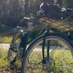 4 Hour Electric Bike Rentals in Asheville - Authentic Insights from Reviews