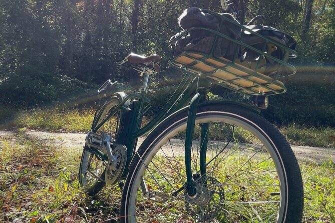 4 Hour Electric Bike Rentals in Asheville - Authentic Insights from Reviews