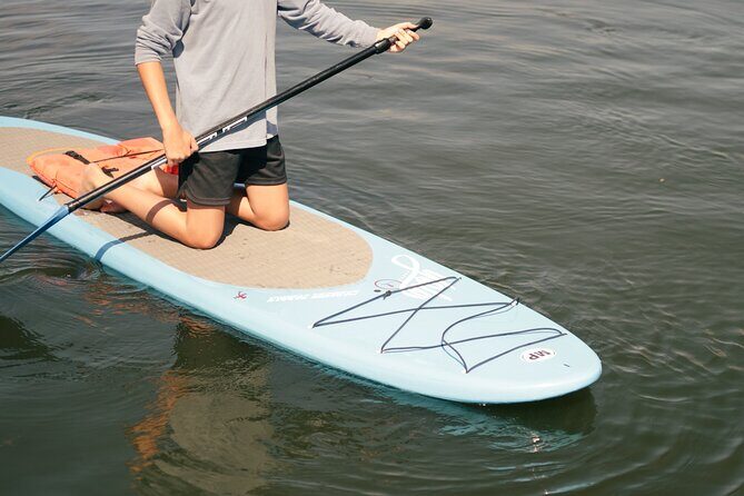 4 Hour Paddle Board Rental - The Experience: What to Expect on Your Paddle