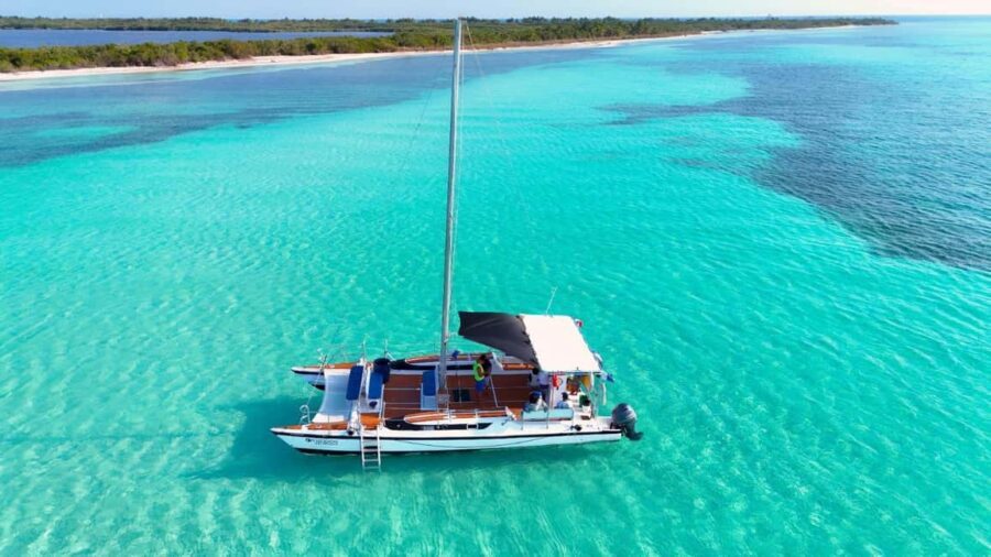 4 Hour Turtle Sanctuary Experience on a Luxury Catamarán - The Practical Details