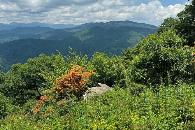 4 Hr Maggie Valley Slingshot Automatic Rental - FAQ