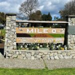 4hr Butchart Gardens and Victoria Private Tour (1-6 pax) - What the Tour Includes and What to Keep in Mind