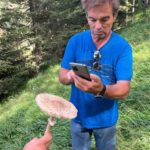 4×4 tour of the Aran Valley - Wildlife, flora and alpine landscapes - Who Will Love This Tour?