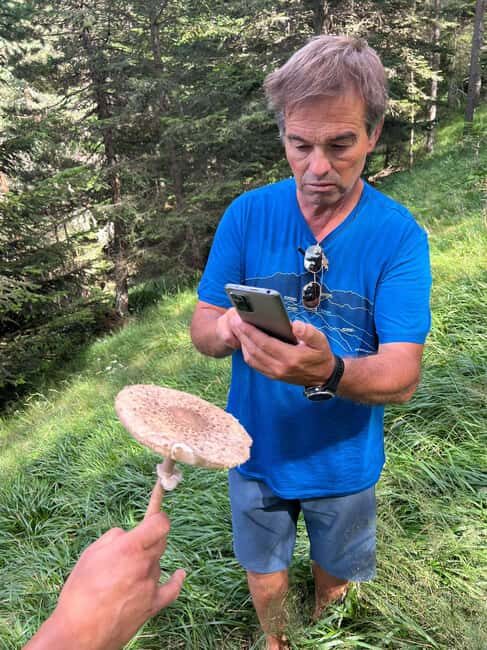 4×4 tour of the Aran Valley - Wildlife, flora and alpine landscapes - Who Will Love This Tour?