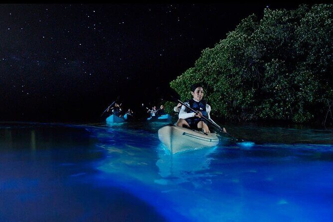 5 day California Vineyards, Waves and Wine small group tour - Practical Considerations