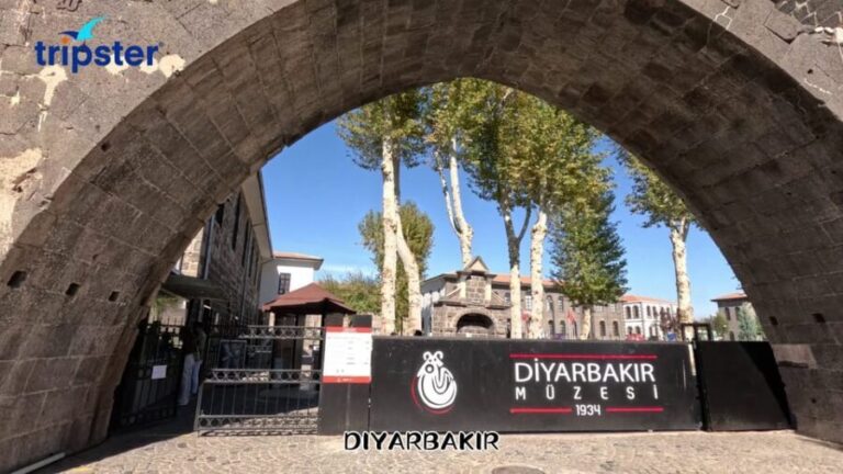 5 Days Gobeklitepe, Nemrut, Mardin and Diyarbakr Tour - Why This Tour Offers Exceptional Value