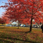 5 Days of Adventure in Vancouver  Activities-Only Tour - What Makes This Tour Stand Out