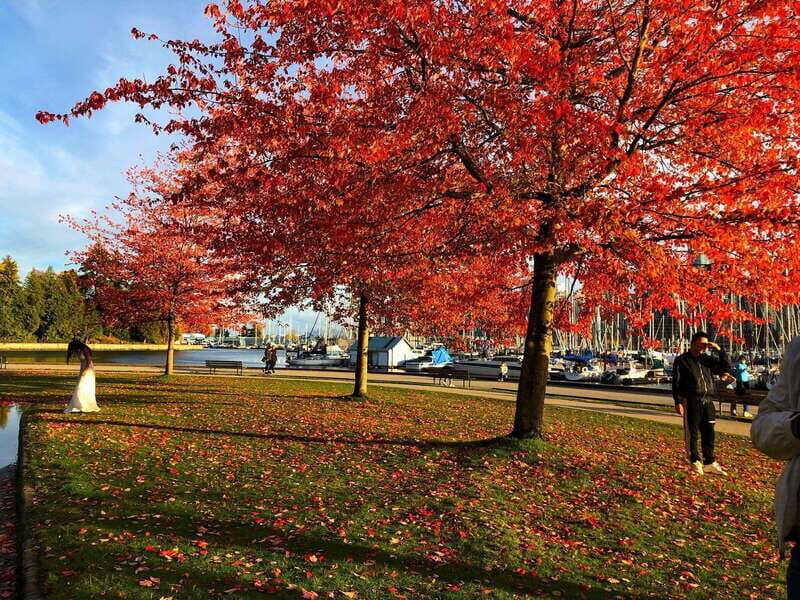 5 Days of Adventure in Vancouver  Activities-Only Tour - What Makes This Tour Stand Out