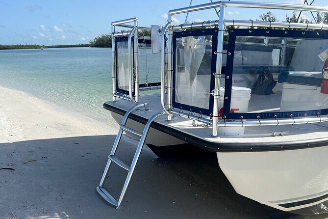 5 Hour Keewaydin Island Beach Tour - The Sum Up