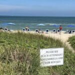 5-Hour Wilmington River to Sea E-Bike Self-Guided Tour - What Makes This Tour Stand Out?