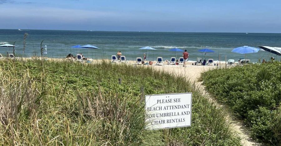 5-Hour Wilmington River to Sea E-Bike Self-Guided Tour - What Makes This Tour Stand Out?