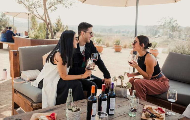 5 wines Tastings with Tour in Valle de Guadalupe Winery - Practical Details & What to Expect