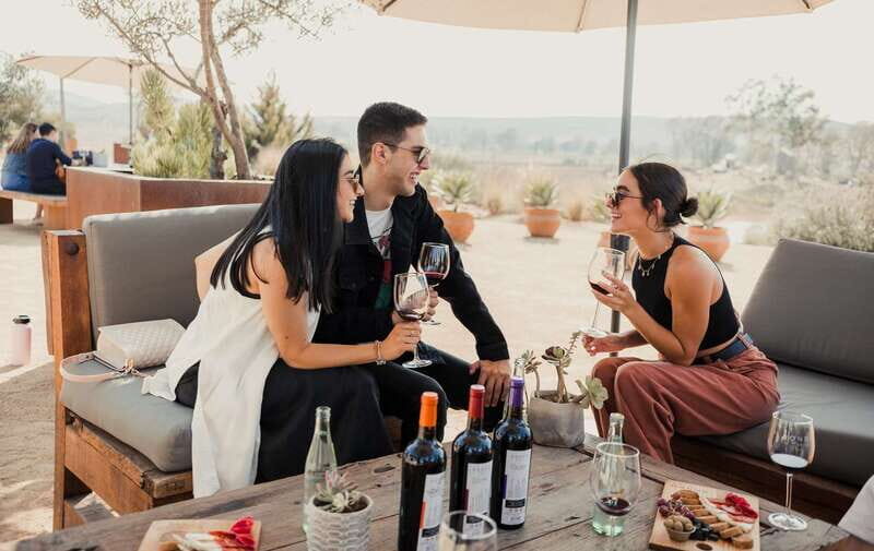 5 wines Tastings with Tour in Valle de Guadalupe Winery - Practical Details & What to Expect