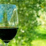 6 Hour Variety Wine Vineyard Tour in Napa Valley - Why This Tour Could Be a Great Choice