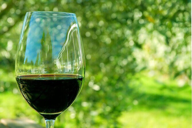 6 Hour Variety Wine Vineyard Tour in Napa Valley - Why This Tour Could Be a Great Choice