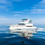 6 hours on a Private Yacht in Puerto Vallarta - Snorkeling & Beaches - The Sum Up