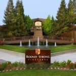 6 Hours Private Wine Tour in Healdsburg Featuring Coppola Winery - What’s Included and What’s Not