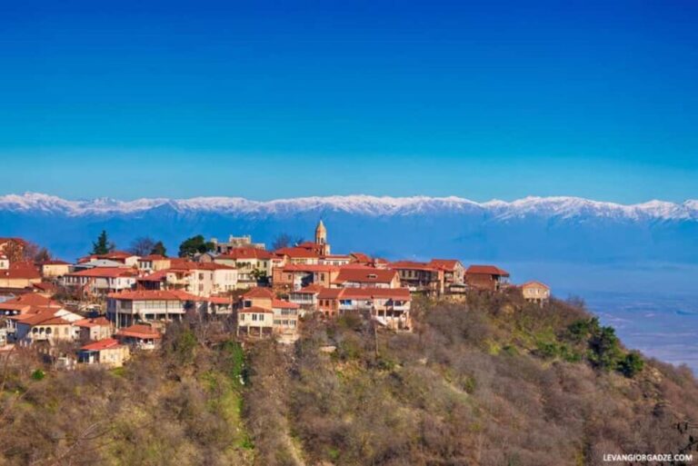 7-Day Georgia Tour with Wine, Mountains, Canyons & Meals - Practical Aspects & What You Should Know