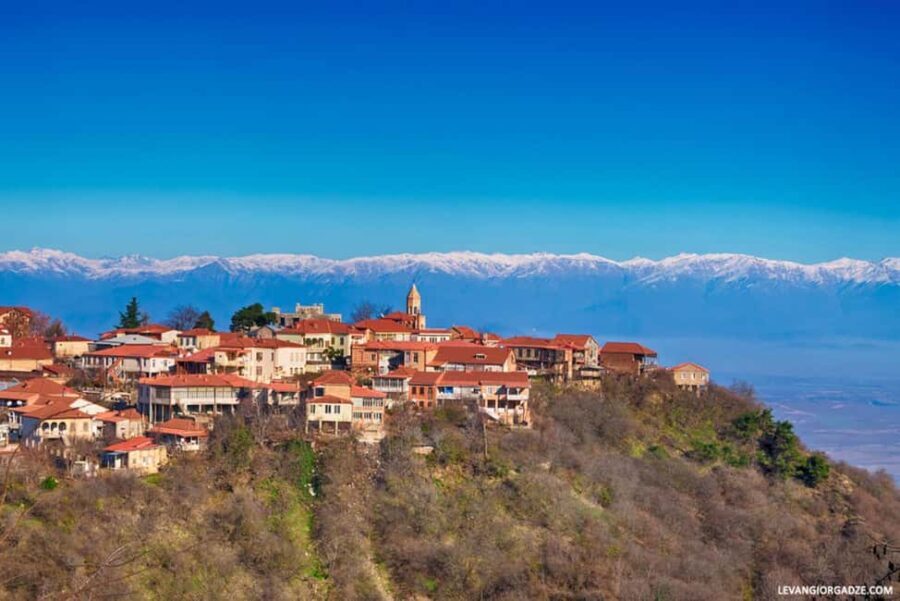 7-Day Georgia Tour with Wine, Mountains, Canyons & Meals - Practical Aspects & What You Should Know