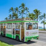 7 Day Pass LeaLea Trolley and Waikiki Trolley Pink Line - Who Will Love This Experience?