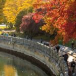 7 Hours Private Tour from Vancouver City(Not YVR or Cruise Port) - The Practicalities: What’s Included and What’s Not