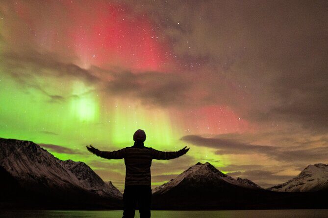 7 hours Tromsø Aurora Tour: Photos, snacks & warm drinks included - Snacks, Warm Drinks, and Comfort