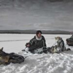 8-10km Husky Ride in the Taiga Forest & Visiting the Kennel - Why This Tour Stands Out