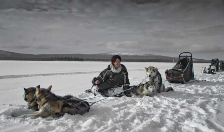 8-10km Husky Ride in the Taiga Forest & Visiting the Kennel - Why This Tour Stands Out