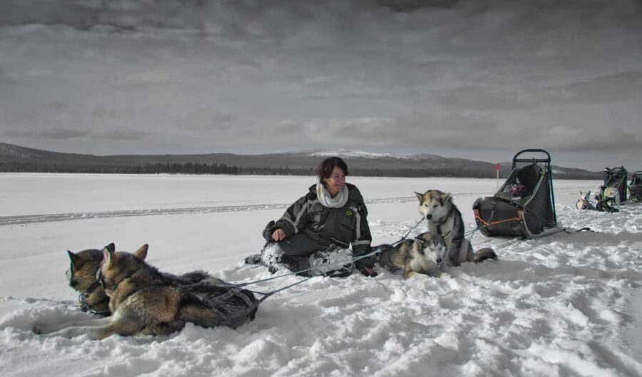 8-10km Husky Ride in the Taiga Forest & Visiting the Kennel - Why This Tour Stands Out