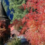 8hr-Private Wine Tour from SF & 1/2 Case of Californian wine. - What to Expect During the Tour