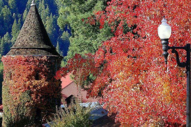 8hr-Private Wine Tour from SF & 1/2 Case of Californian wine. - What to Expect During the Tour