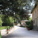 A 16th-century farmhouse between the Crete Senesi and Val d'Orcia, a tour through history and wine. - A Deep Dive into the Experience