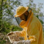 A day as a beekeeper: an adventure among mountains and nature - The Sum Up