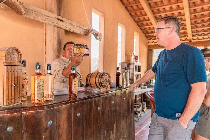 A Day in the Town of San Sebastián del Oeste - Analyzing the Value