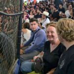 A la Lucha Libre in Guadalajara - Exploring the Itinerary: From Cantina to Coliseo