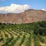 A One-Day Culinary Journey from Yerevan - Deep Dive into the Itinerary