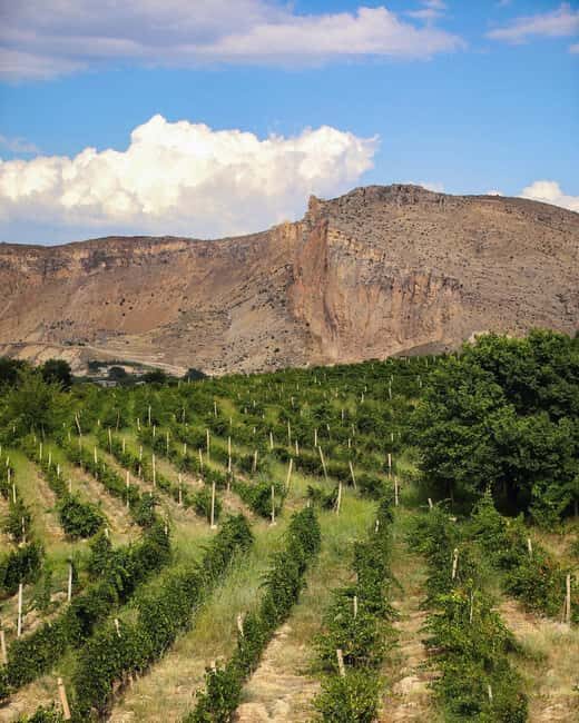 A One-Day Culinary Journey from Yerevan - Deep Dive into the Itinerary