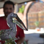 A taste of Los Cabos. A San Jose and Cabo San Lucas City Tour - Transportation and Group Dynamics