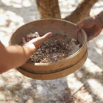 A unique Mastiha trip to Chios Island - Is this tour right for you?