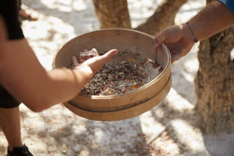 A unique Mastiha trip to Chios Island - Is this tour right for you?